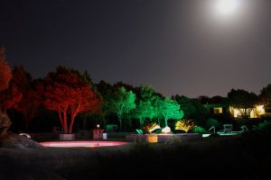 vct_giardino02