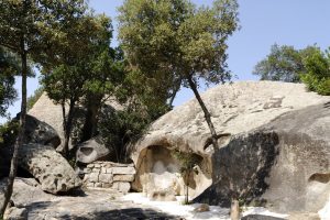 vct_rocce_04